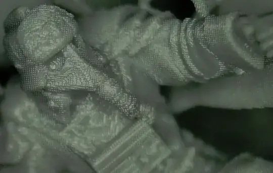 0.100 mm resolution image