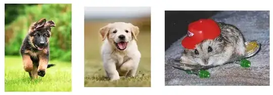 2 good boys and a rad hampster