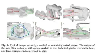 Typical images correctly classified as containing naked people