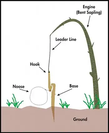 simple snare for trapping small animals