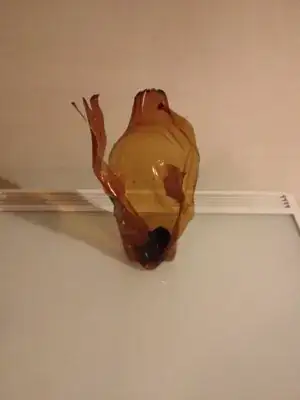 The late plastic bottle.