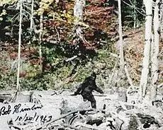 Patterson–Gimlin film