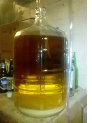 Homemade Banana Wine