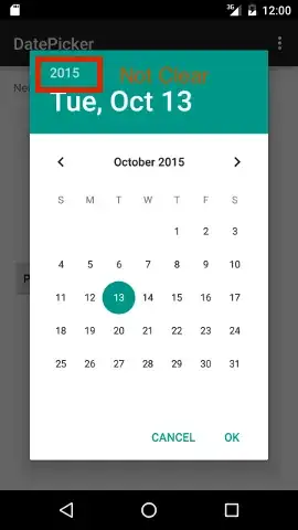 Standard Date Picker