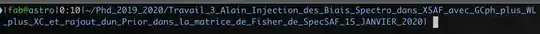 prompt zsh