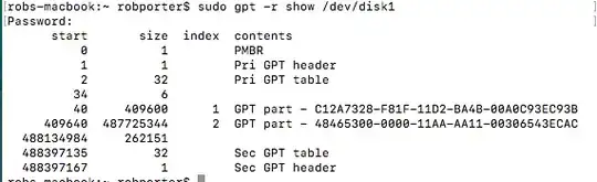 output from gpt command