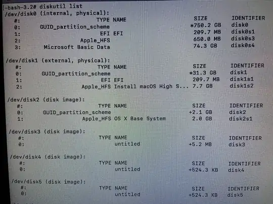 output from diskutil list