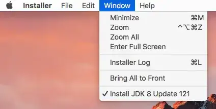 Window -> Installer Log