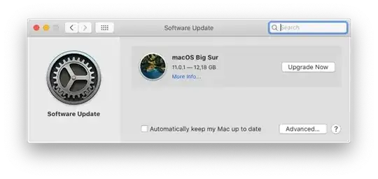 Software Update with Upgrade Now button