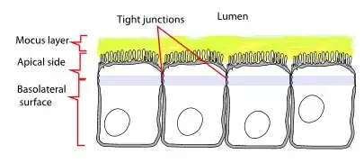 enter image tion here