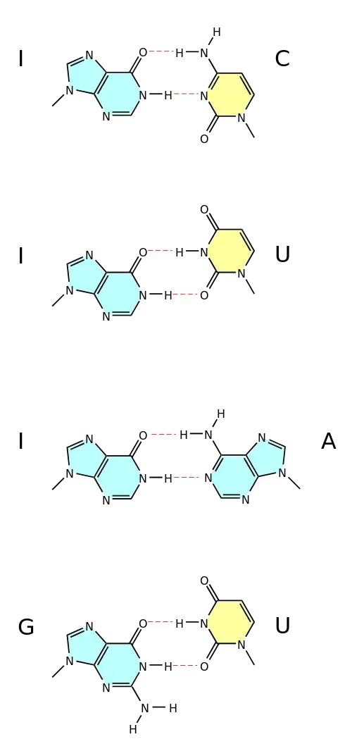 non W-C base pairings