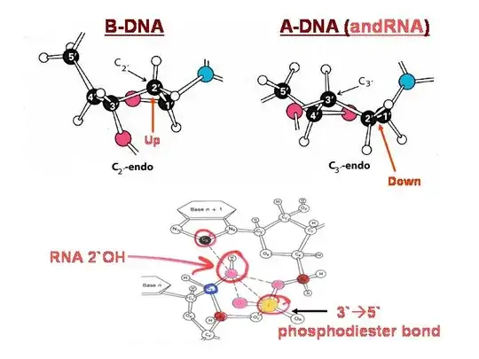 schematic of Beta vs Alpha from riboses