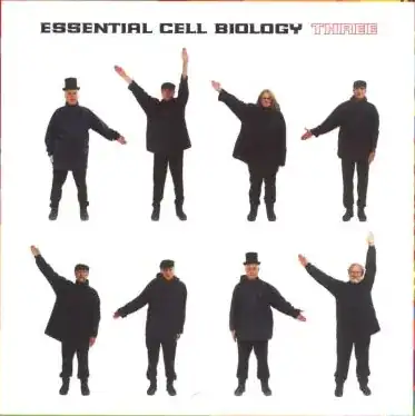 Essential Cell Biology Back Cover
