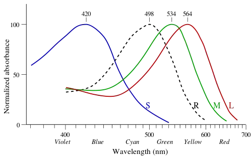 Spectral sensitivity of photoreceptors