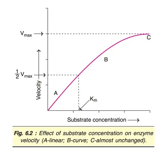 Enzyme saturation curve
