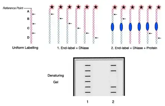 DNA Footprinting Strategy