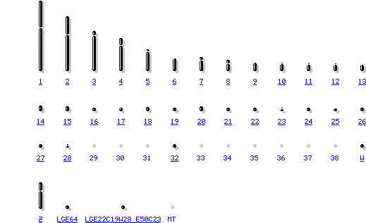  chromosome images for chicken genome