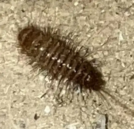 inside a box in the kitchen