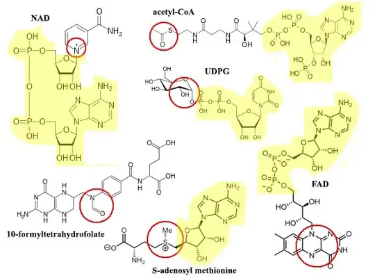 Some coenzyme structures