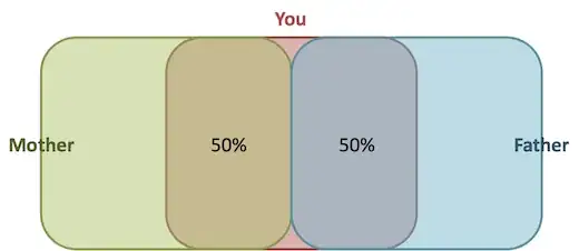 Shared alleles between your parents and you