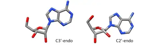 2' and 3' endo-pucker of RNA