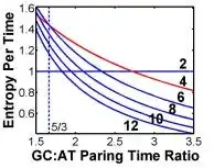 DNA Replication Rate