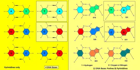 4 purines and 12 purines+pyrimidines