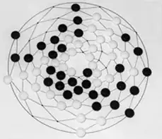 cylindrical board projected onto a square