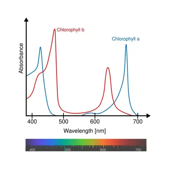chlorophyll spectrum