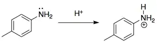 Protonation of 4-methylaniline -> 4-methylbenzenaminium