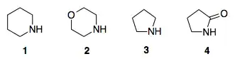 piperidine, morpholine, pyrrolidine, pyrrolidone