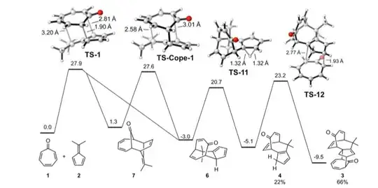 Houk TS for a 6+4 cycloaddition 