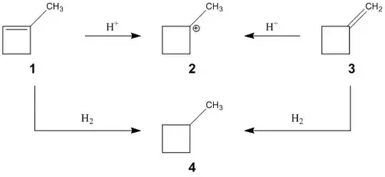 protonation/hydration scheme of 1 and 3