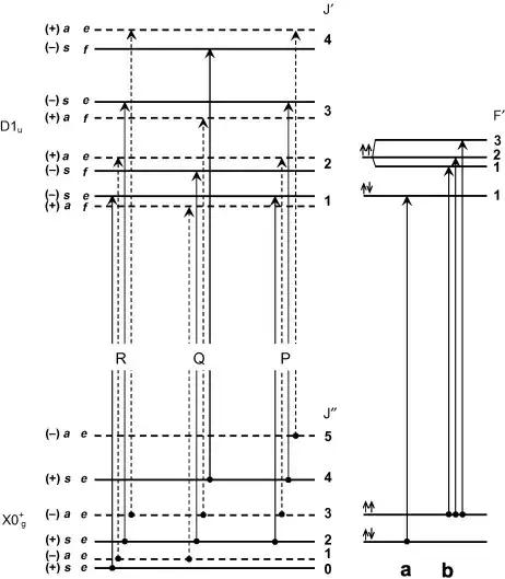 Schematic energy level diagram