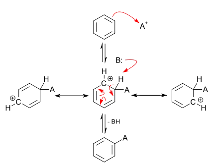 basic SEAr-mechanism