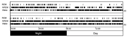 Bat sleep architecture