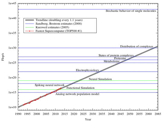 Recent comparison of predicted neural processing capacity and current fastest super computer