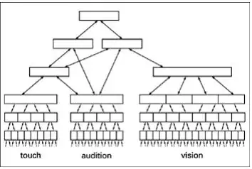 Cortical Hierarchy - On Intelligence