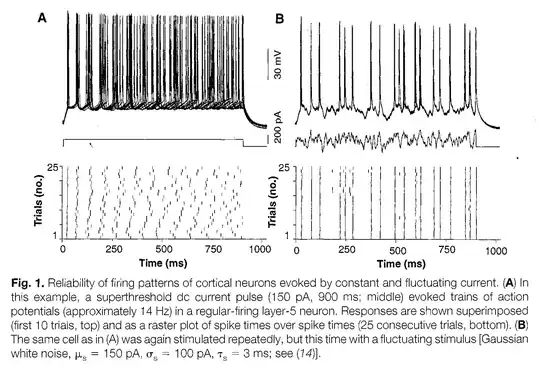 From Mainen and Sejnowski, Science 1995