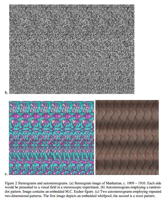 Stenographic image quoted in source article