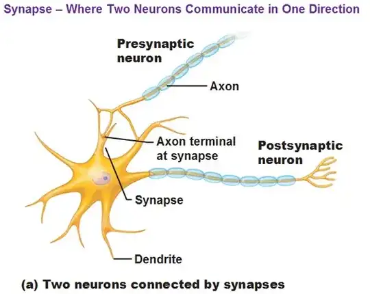 Figure 1: Presynaptic versus postsynaptic