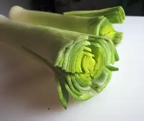 leek