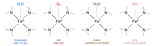 heme in various states
