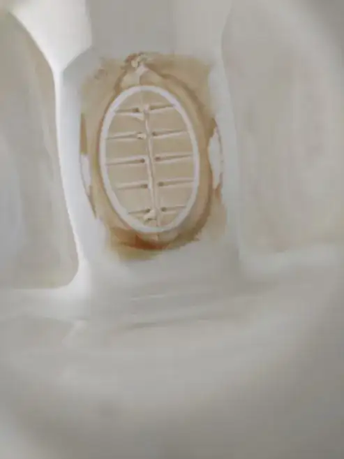 Photo of the inside of the can