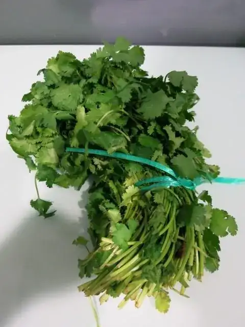 A bunch of coriander