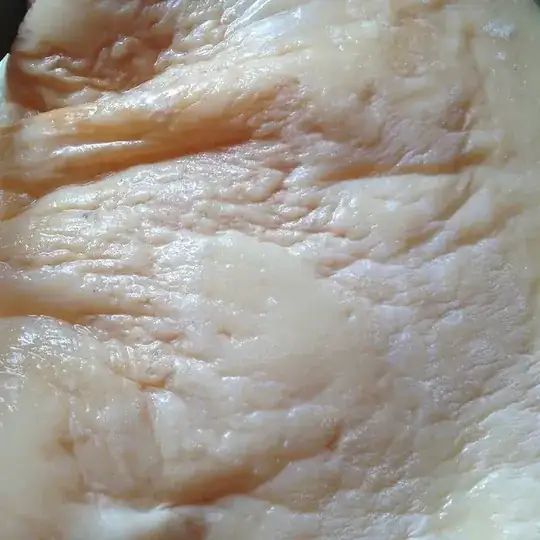 cheese smelling mother of vinegar close up