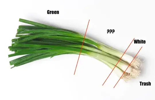 Picture of a scallion with the different colored regions annotated.