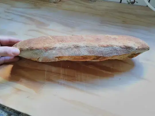 sourdough bread cracks