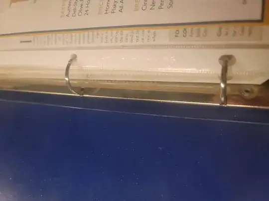 A photo of the 3-ring sheet protectors in their current binder