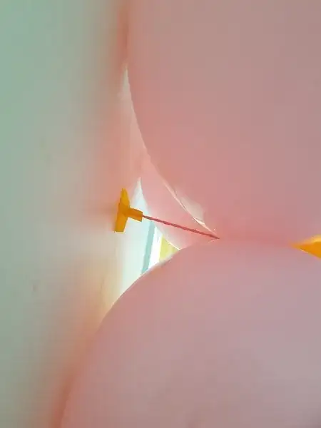 Size 160 balloon attached to balloon flower and taped to the wall